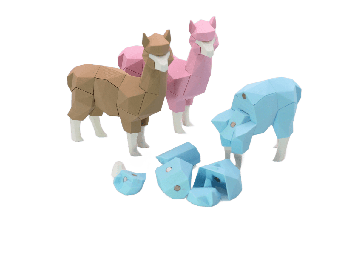 Alpaca
