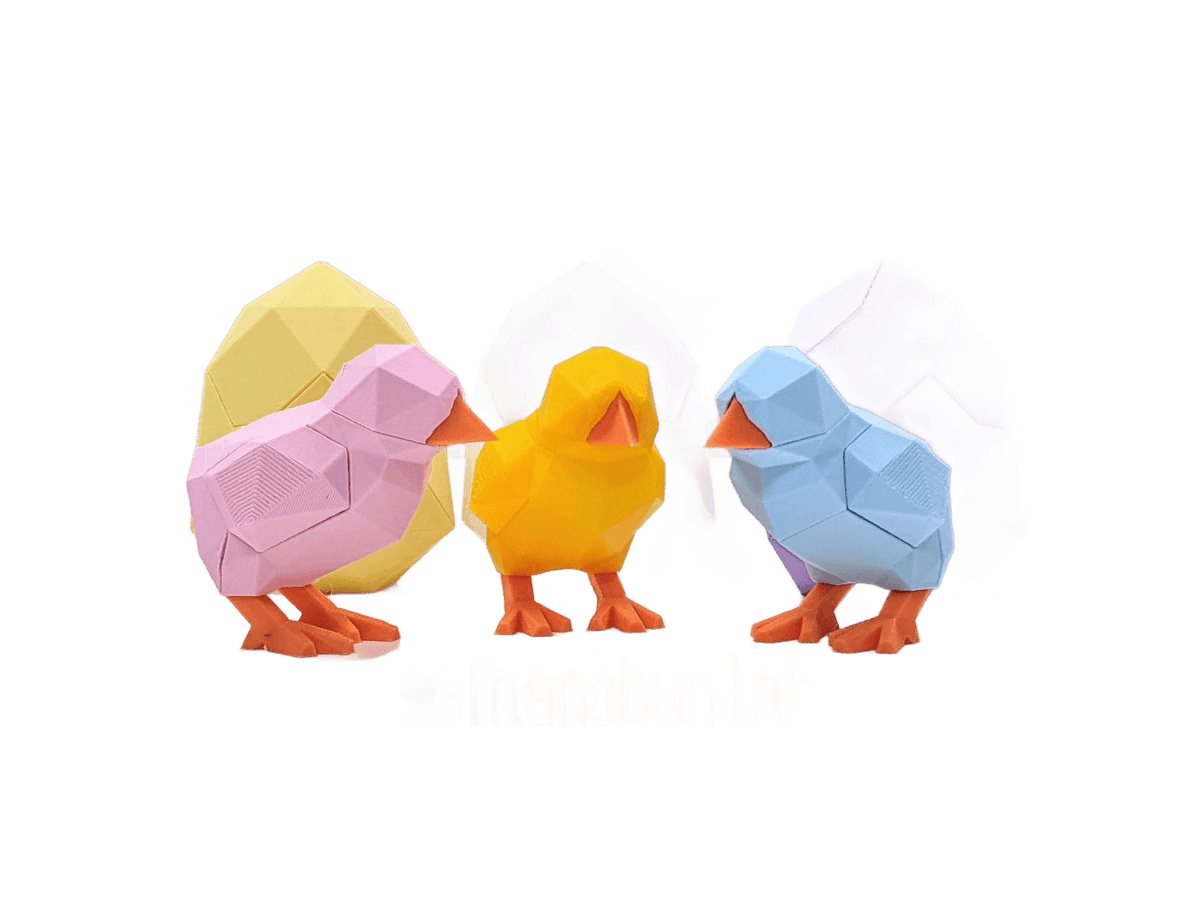 Chick and Egg