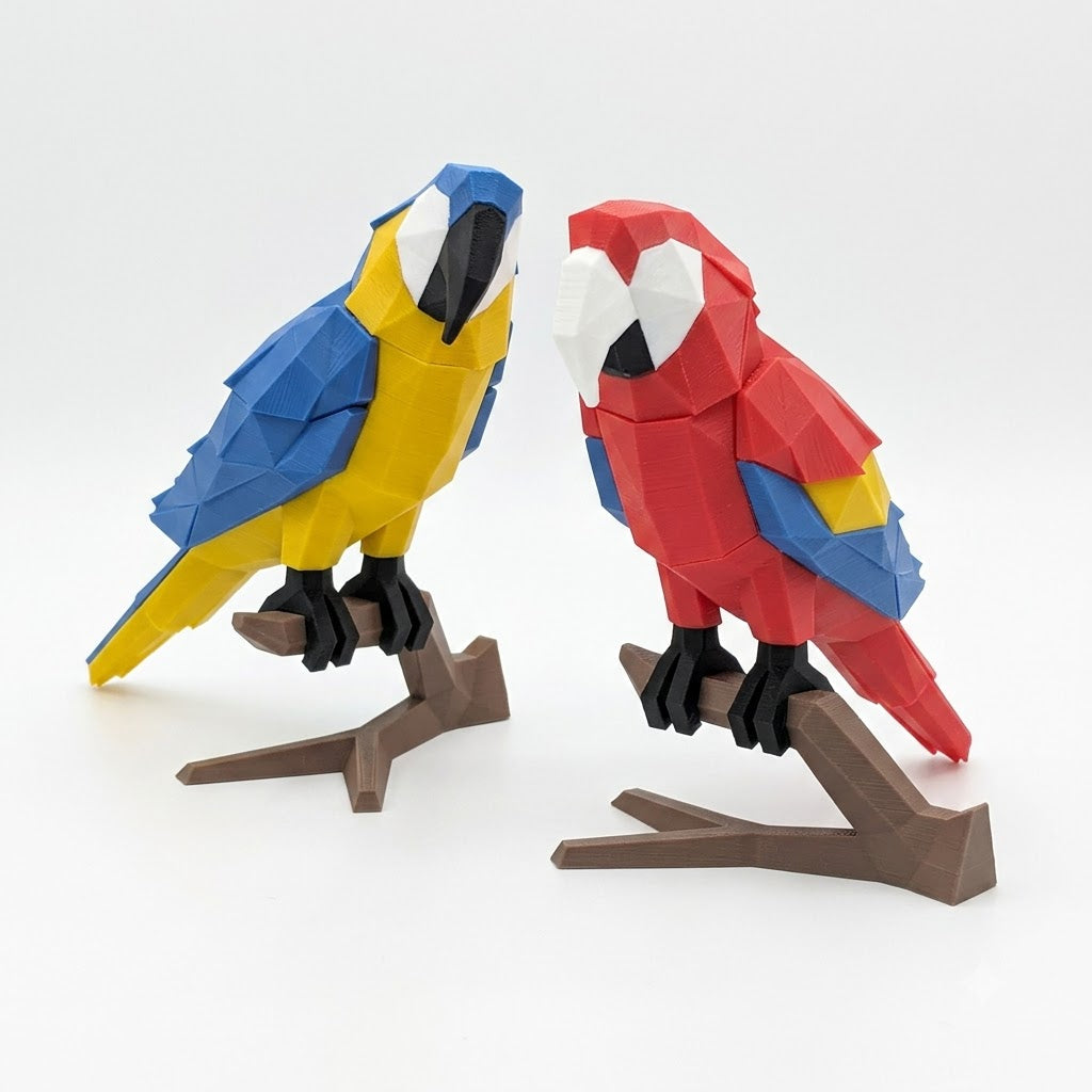 Macaw Parrot