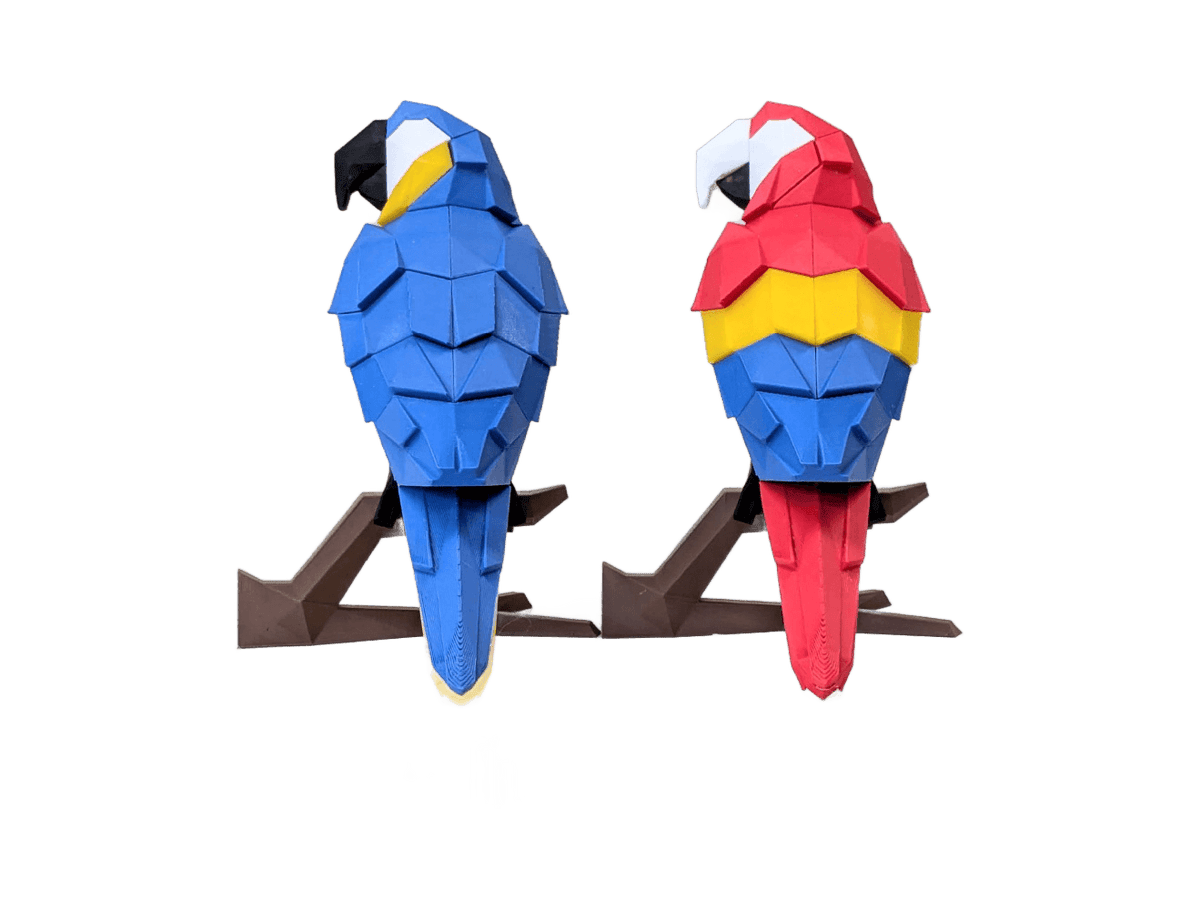 Macaw Parrot