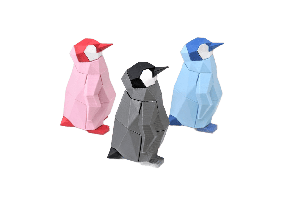 Penguin Chick