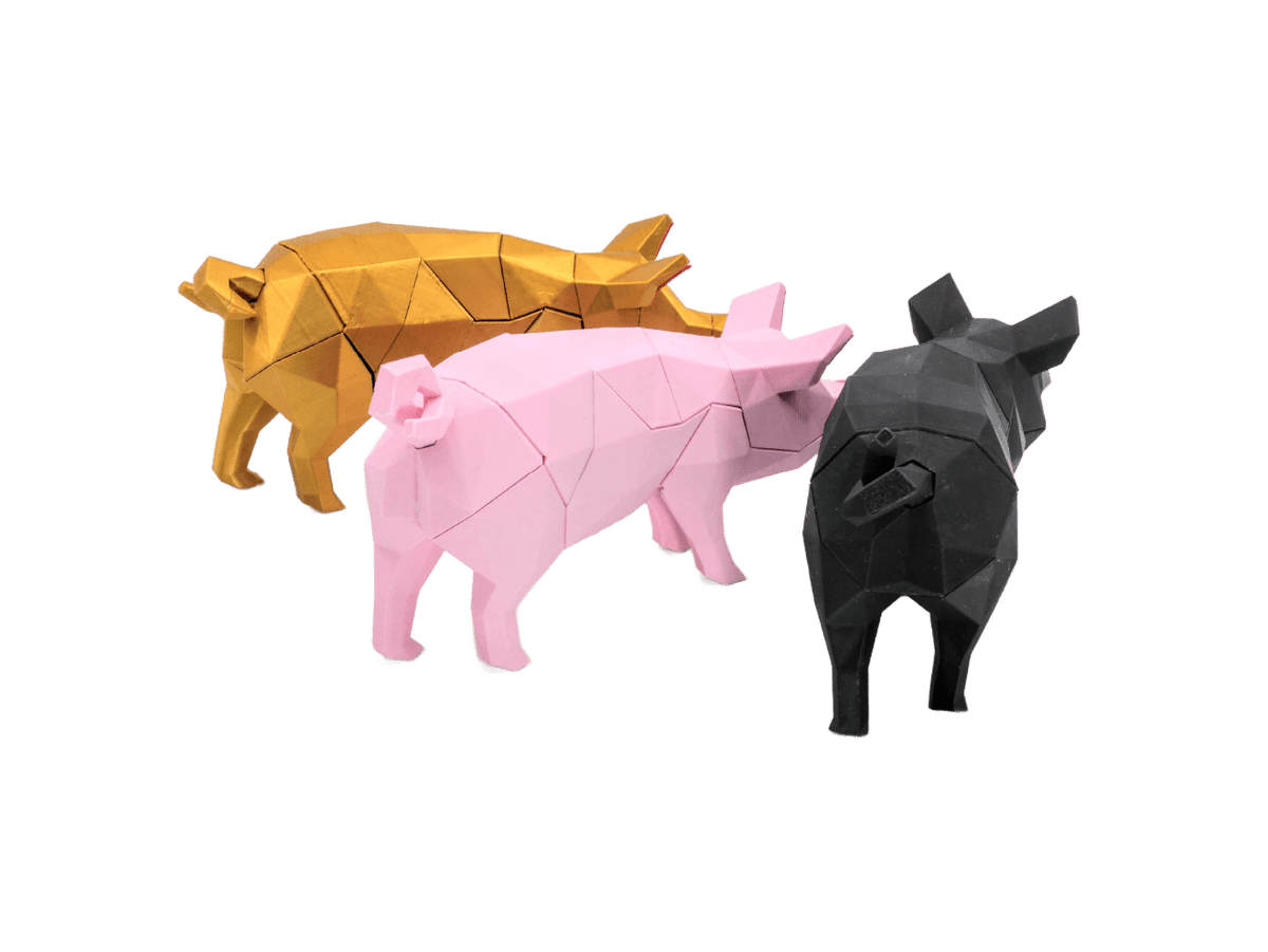 Pig