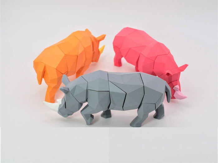 Rhinoceros
