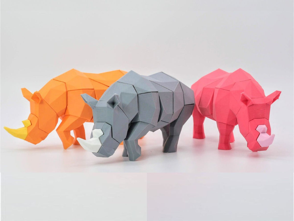Rhinoceros