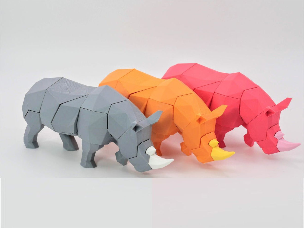 Rhinoceros