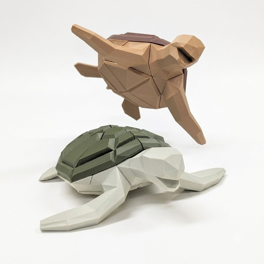 Sea Turtle