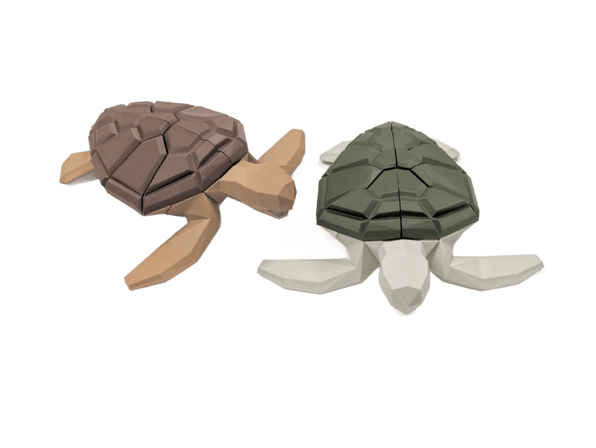 Sea Turtle