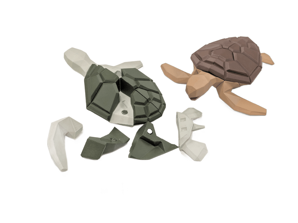 Sea Turtle